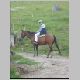 horse-riding009.jpg