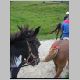horse-riding021.jpg