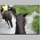 horse-riding024.jpg