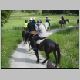 horse-riding026.jpg
