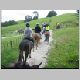 horse-riding027.jpg