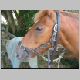 horse-riding055.jpg