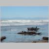 Whakatane_und_Ohope_Beach059.jpg