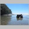 Whakatane_und_Ohope_Beach065.jpg