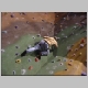 Climbing009.jpg