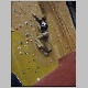 Climbing010.jpg